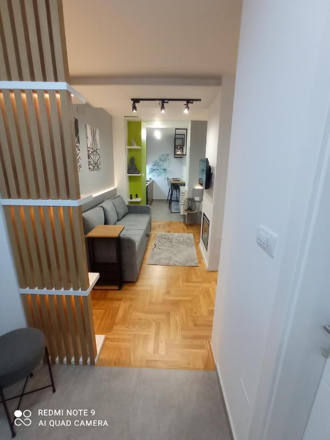 Studio Apartman Pale * Pale