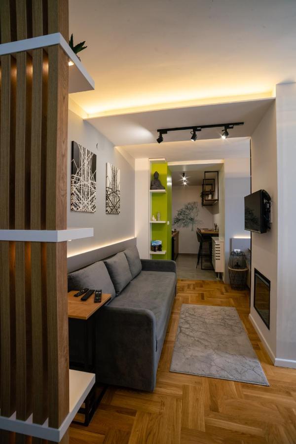 Studio Apartman Pale * Pale